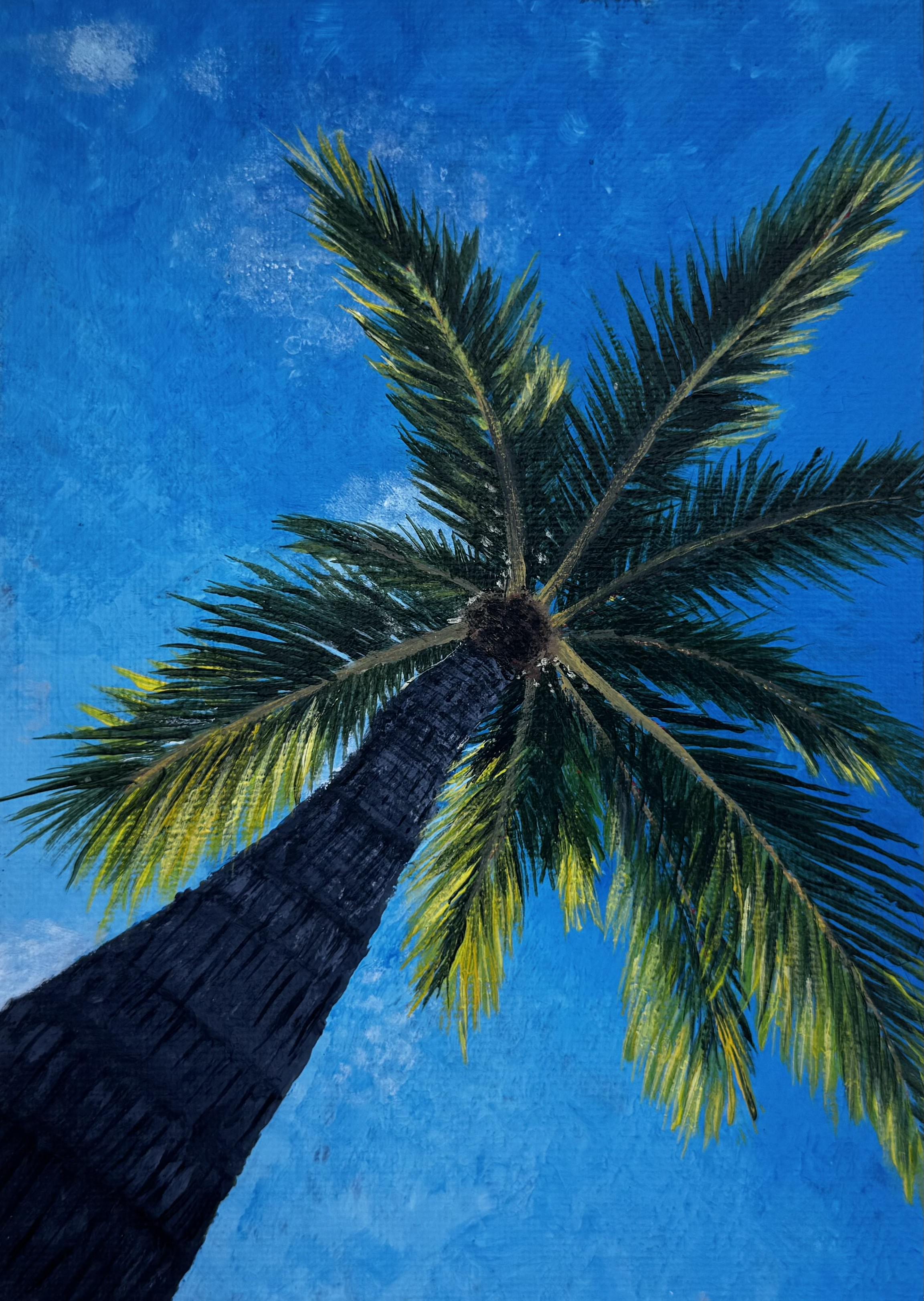 Palm tree and blue sky